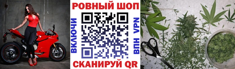Где купить Южа Галлюциногенные грибы ГАШ COCAIN Alpha-PVP