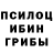 Псилоцибиновые грибы GOLDEN TEACHER Amal Vijay